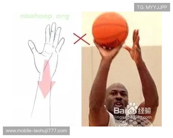 db体育官网首页用户指南帮助新手快速上手体育平台操作流程