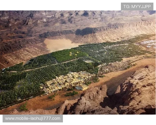 注册即送91元老虎机体验金，开启属于你的幸运时刻