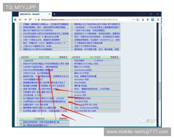 立博中文版官网游戏安全性与可靠性全面讨论与解析