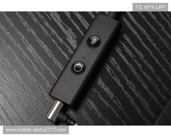 奔驰宝马老虎机单机版无限金币版游戏画面与音效优化提升极致体验感