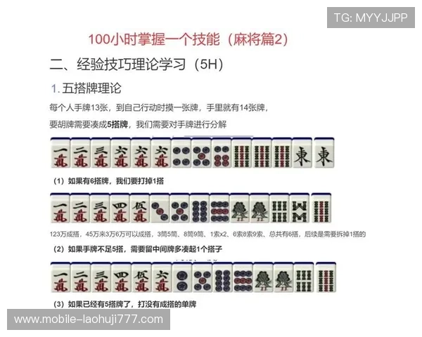 麻将胡了网站最全玩法解析，助你成为麻将高手的必备指南