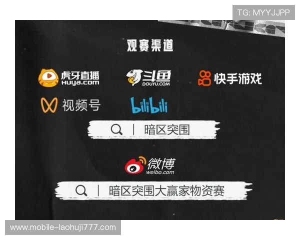 冰球突破豪华版游戏玩法攻略，掌握核心技巧轻松赢取丰厚奖励